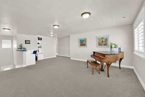 Spacious carpeted room featuring multiple ceiling lights, built-in shelving, white wall paneling, and window shutters