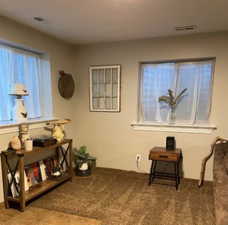 Carpeted room with two windows, painted in a neutral tone