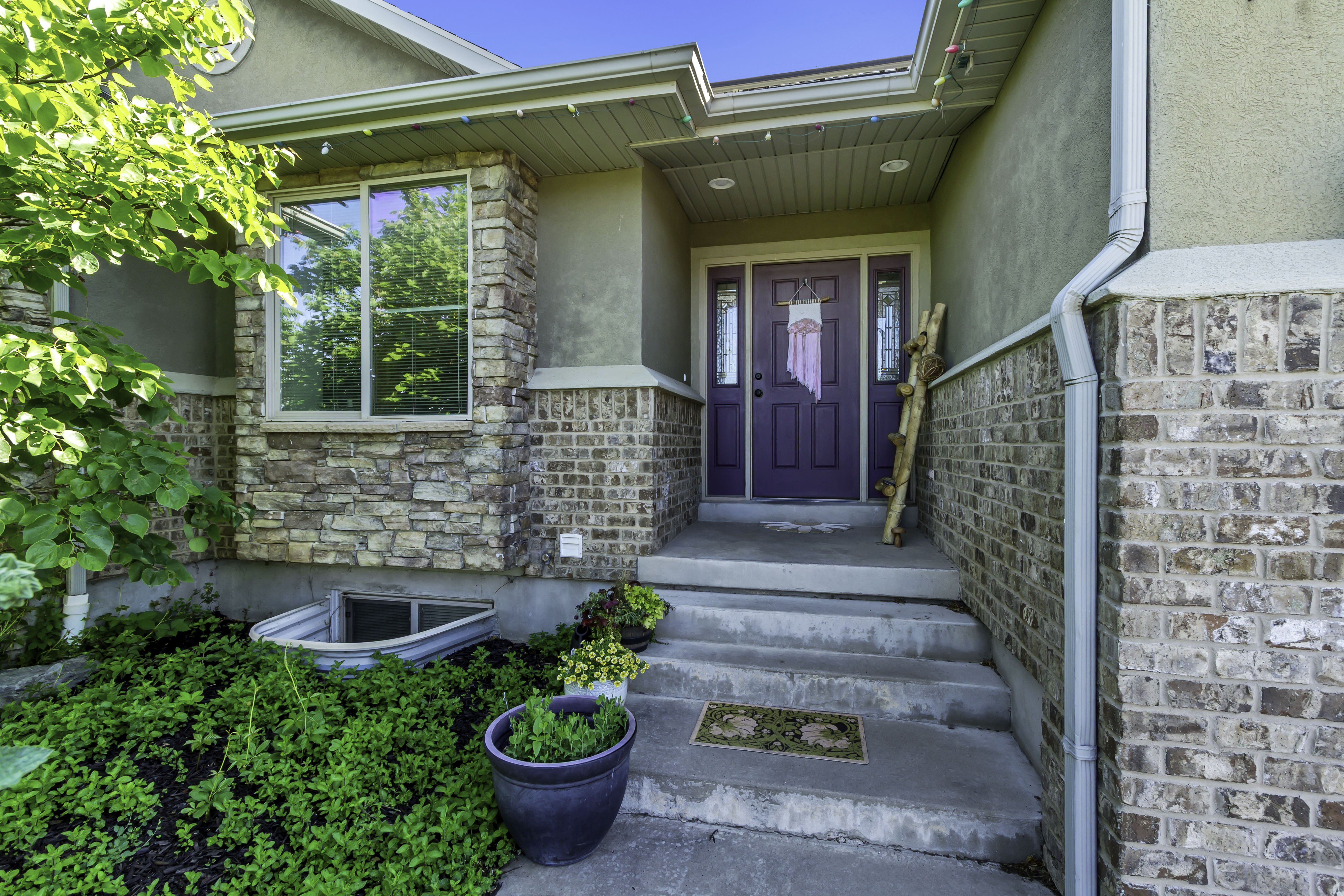 Front entrance featuring a purple door with sidelights, a window well, and a concrete stairway