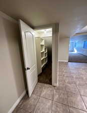 Walk-in closet with built-in shelving, overhead lighting, and carpet flooring