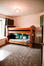 Recessed window with sill, neutral carpet flooring, and a ceiling-mounted light fixture