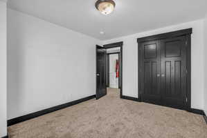 Room featuring plush carpet, white walls, and dark trim