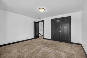 Spacious room featuring neutral carpeting, white walls, dark trim, dark paneled doors, and a flush-mount ceiling light fixture