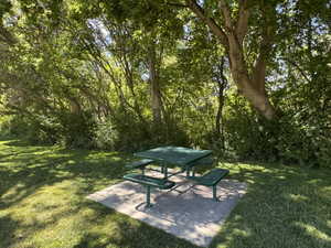 Oaklawn Park - Shaded Picnic Table