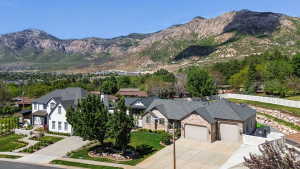 Aerial of House Front