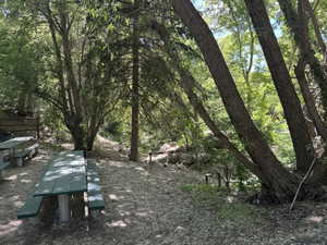 Oaklawn Park - Mature Trees, Creek Bed, & Lots of Picnic Tables for a Large Group