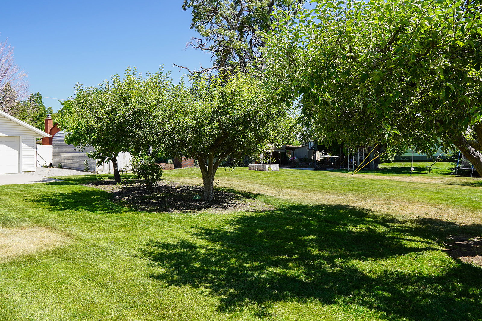 Lot 2 yard view