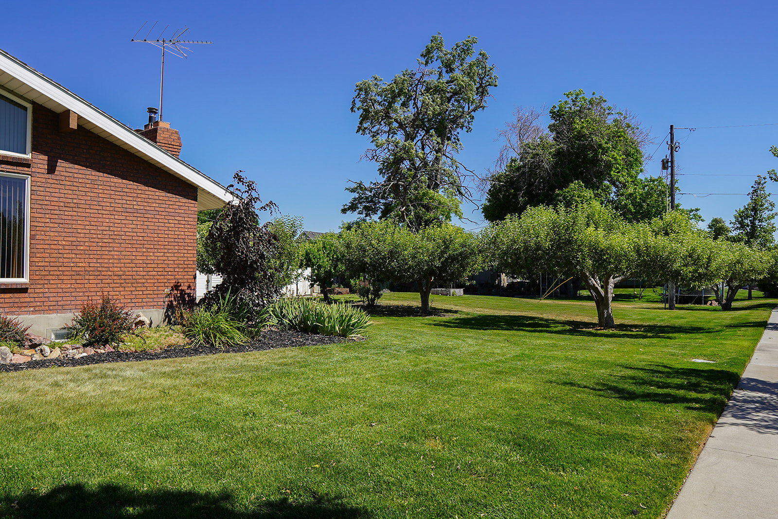 View of yard lot 2