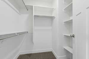 Walk-in closet featuring white walls, white shelving, metal hanging rods, and dark carpet flooring
