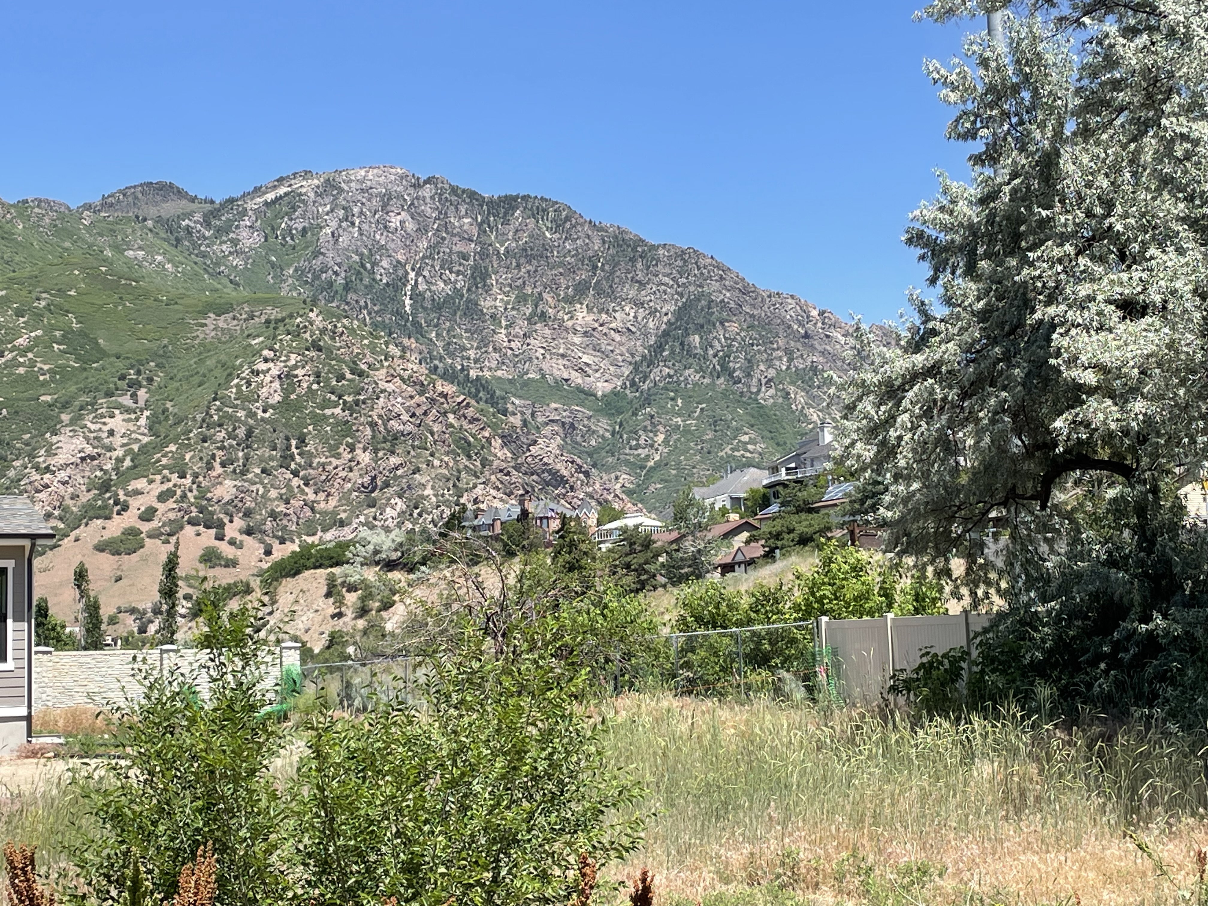 Mountain backdrop featuring varied natural rock formations and lush green foliage