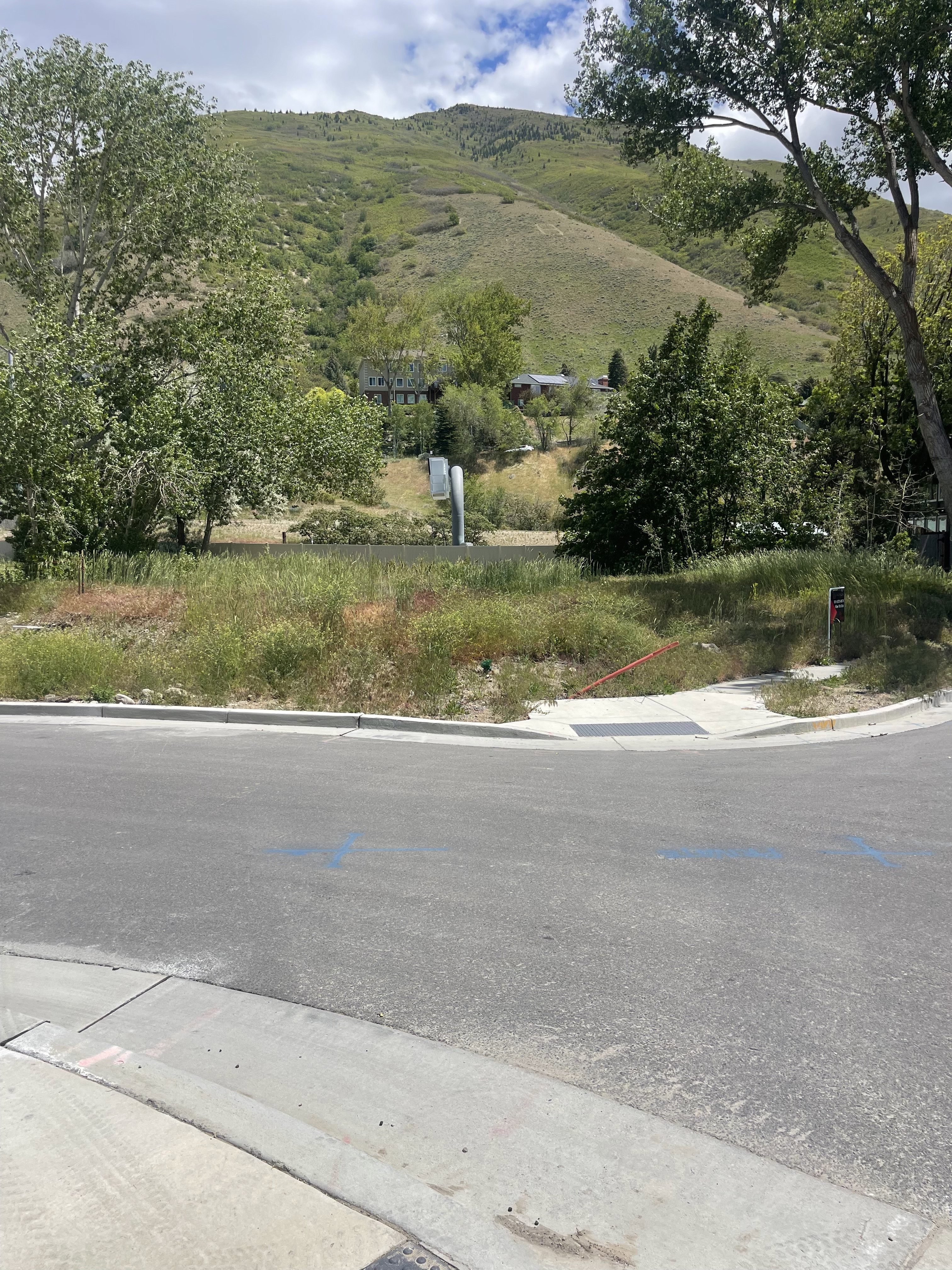 Residential lot with paved road frontage and curb, featuring mature trees and mountain backdrop