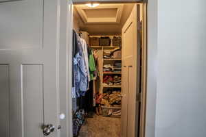 Walk-in closet featuring built-in shelving, hanging rods, recessed ceiling detail, and ceiling-mounted lighting