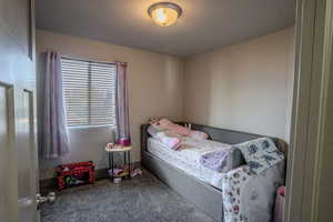 Room featuring a window with horizontal blinds, overhead flush-mount light fixture, and plush carpet flooring