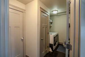 Dedicated laundry space featuring a built-in shelf, overhead lighting, and dark wood-finish flooring