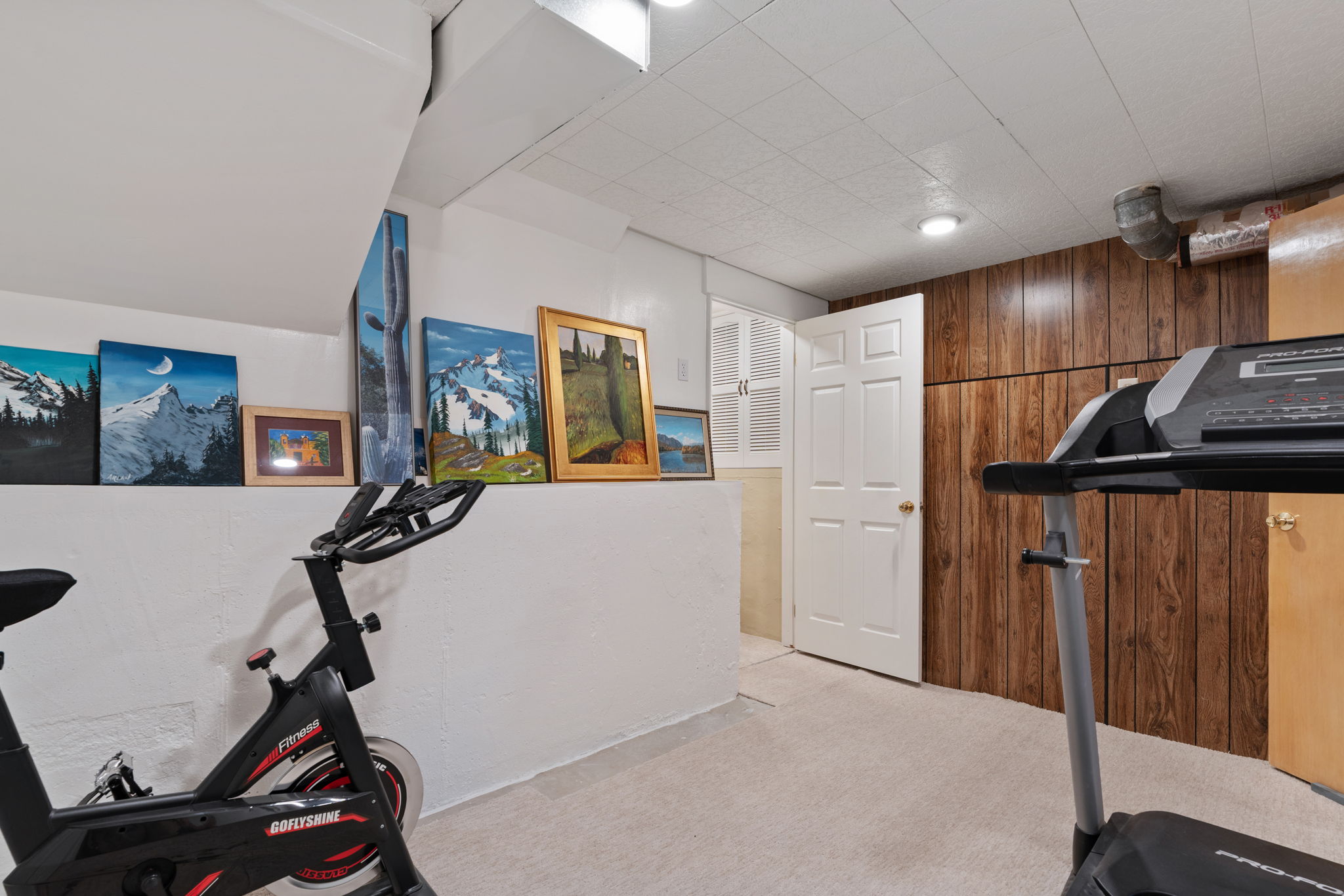 Exercise Room. Study. Office. Etc