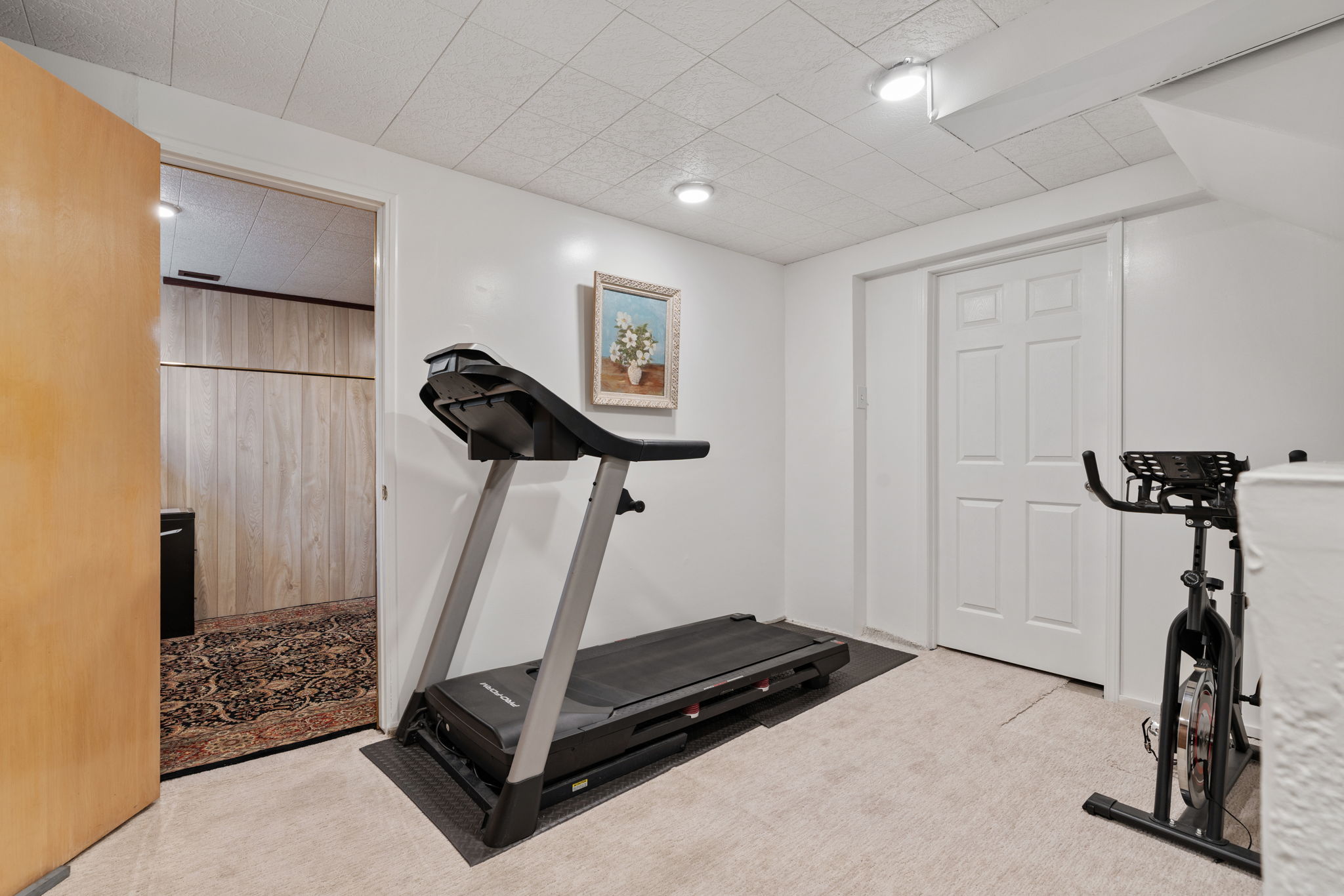 Exercise Room. Study. Office. Etc