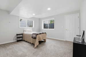 Carpeted room featuring light gray walls and recessed lighting
