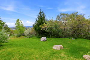 Expansive green lawn featuring mature trees and natural rock landscaping