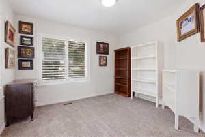 Window with plantation shutters, light gray carpeting, white walls, and a ceiling-mounted light fixture