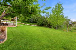 Expansive green lawn with a gentle slope