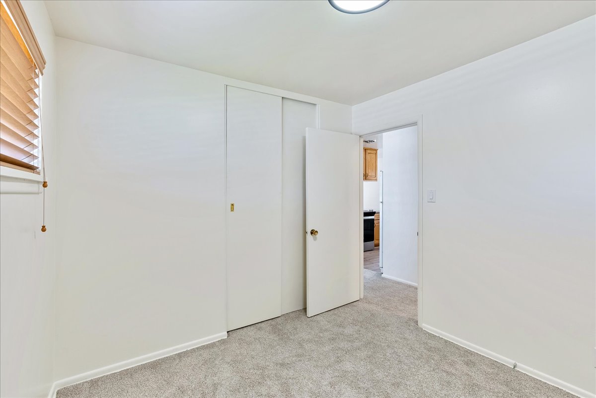 Room featuring light gray carpet, white walls, built-in sliding closet doors, wood-tone blinds, and a flush-mount ceiling light