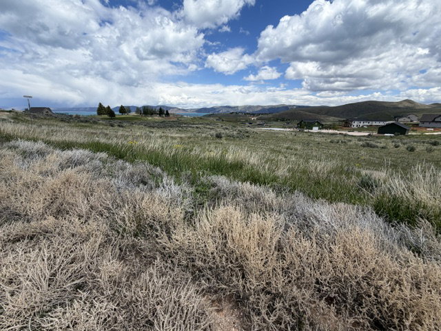 Expansive undeveloped lot featuring natural prairie grasses and distant water views