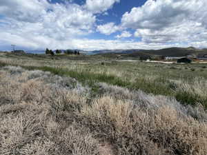 Expansive undeveloped lot featuring natural prairie grasses and distant water views