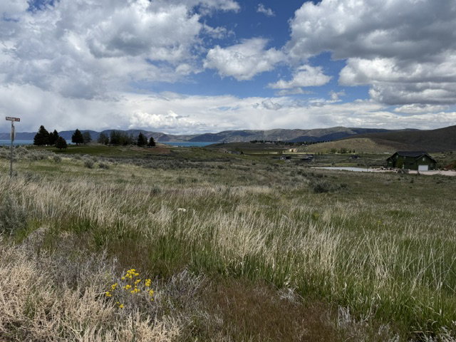 Expansive undeveloped acreage with varied terrain and distant water features