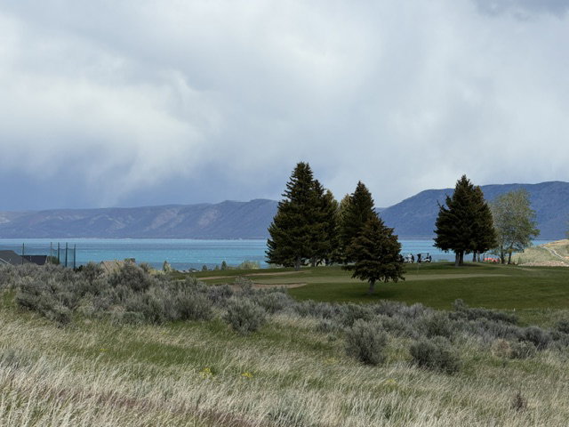 Expansive golf course setting featuring manicured greens and mature evergreen trees