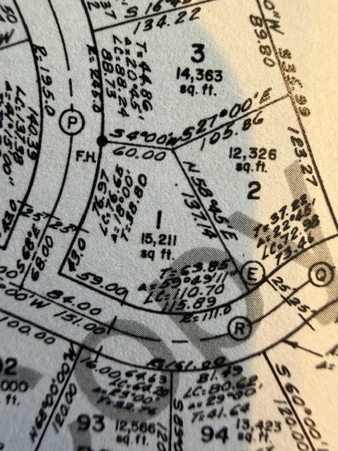 Subdivision Plat. Illustrating lot dimensions, area, and bearings within the property