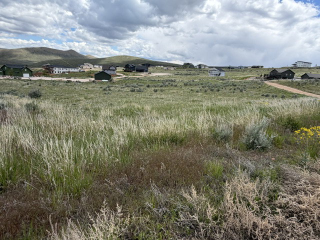 Expansive rural landscape featuring a natural grass field and distant rolling hills