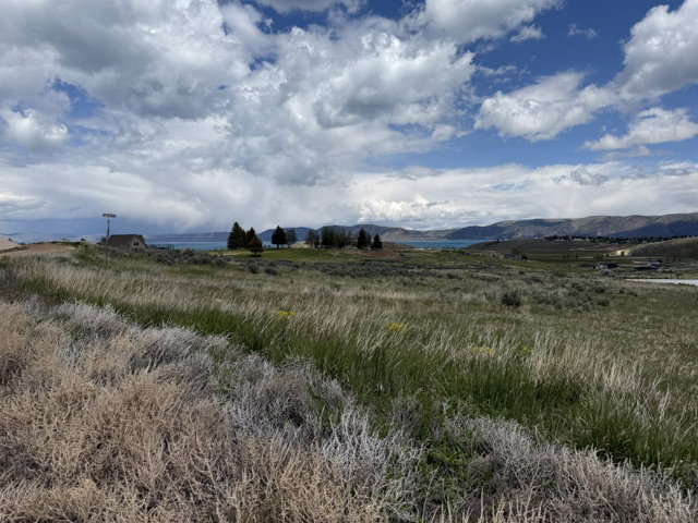 Expansive open land featuring natural grasses and distant water