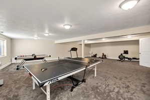 Spacious recreation room featuring neutral-toned walls, textured gray carpeting, and multiple flush-mount ceiling lights