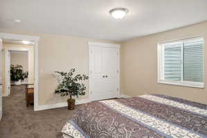 Neutral-toned interior featuring plush carpeting and a double window with blinds