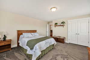 Spacious bedroom featuring neutral wall tones, plush gray carpeting, white baseboards, and a semi-flush mount ceiling light