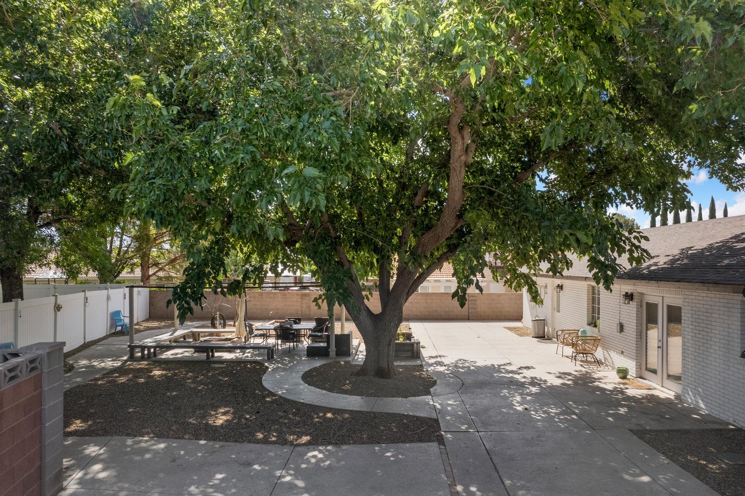 Expansive rear yard featuring a prominent mature shade tree, a concrete patio, and gravel landscaping