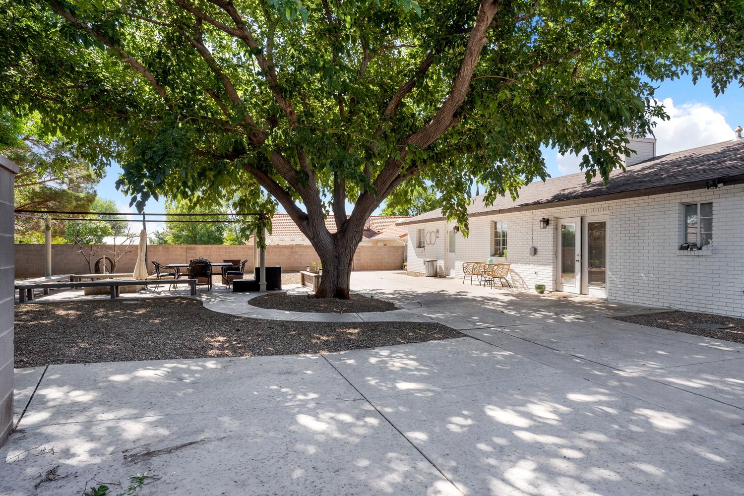 Expansive outdoor patio featuring a large mature shade tree and concrete paving