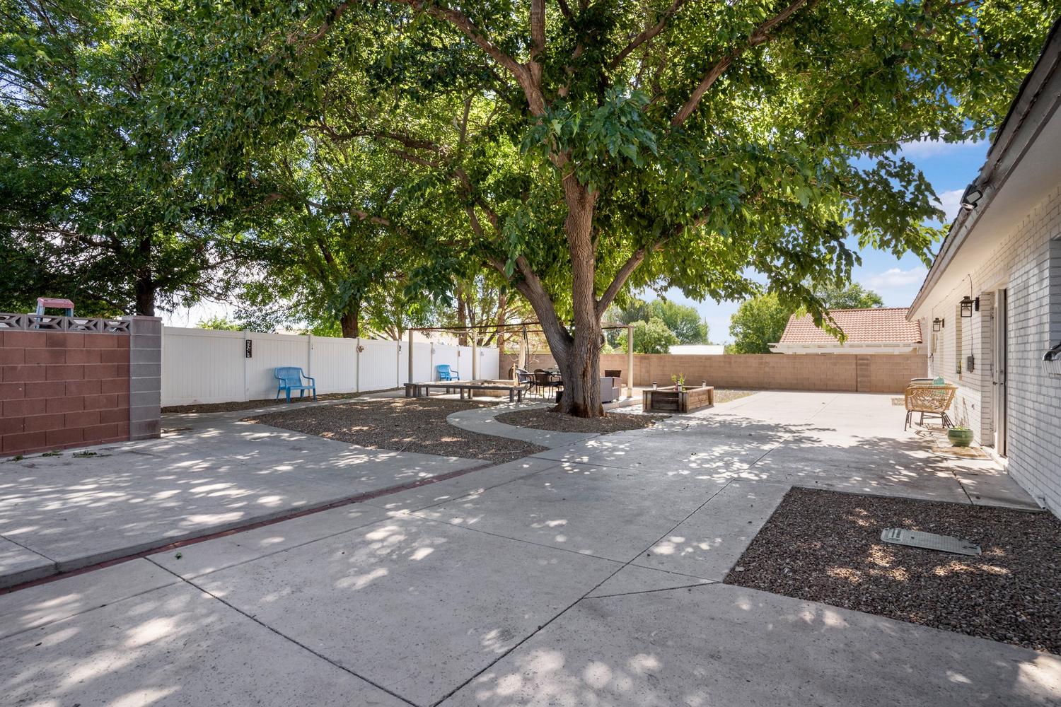 Spacious backyard featuring extensive concrete patio areas, a large mature shade tree, and a pergola structure