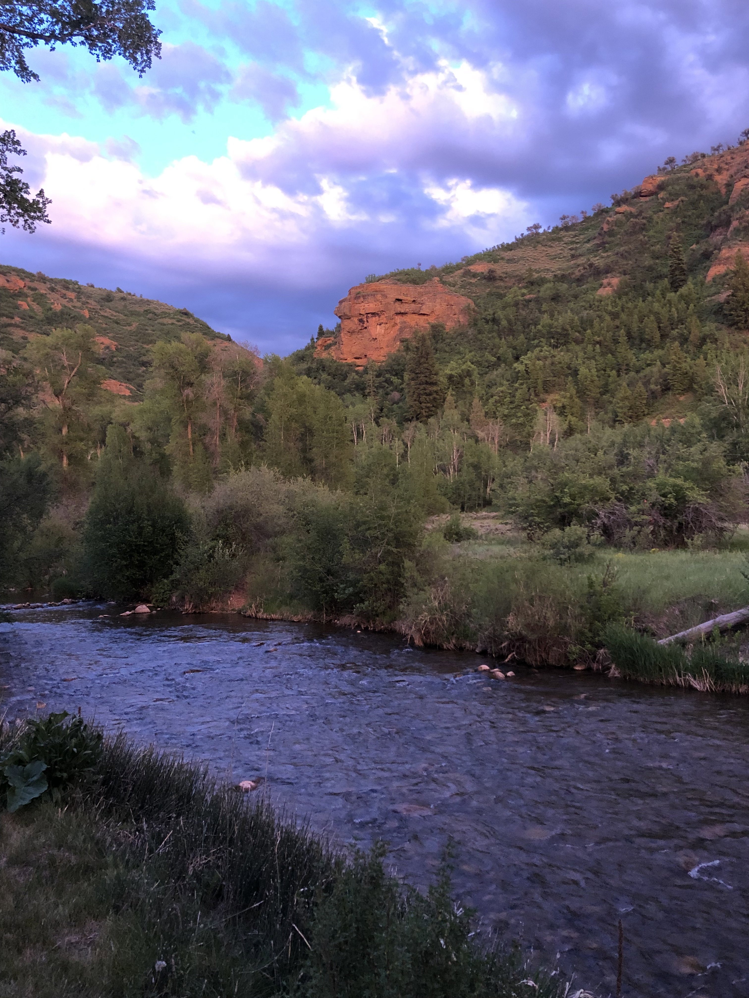 River frontage featuring clear waters, natural rock formations, and abundant mature trees