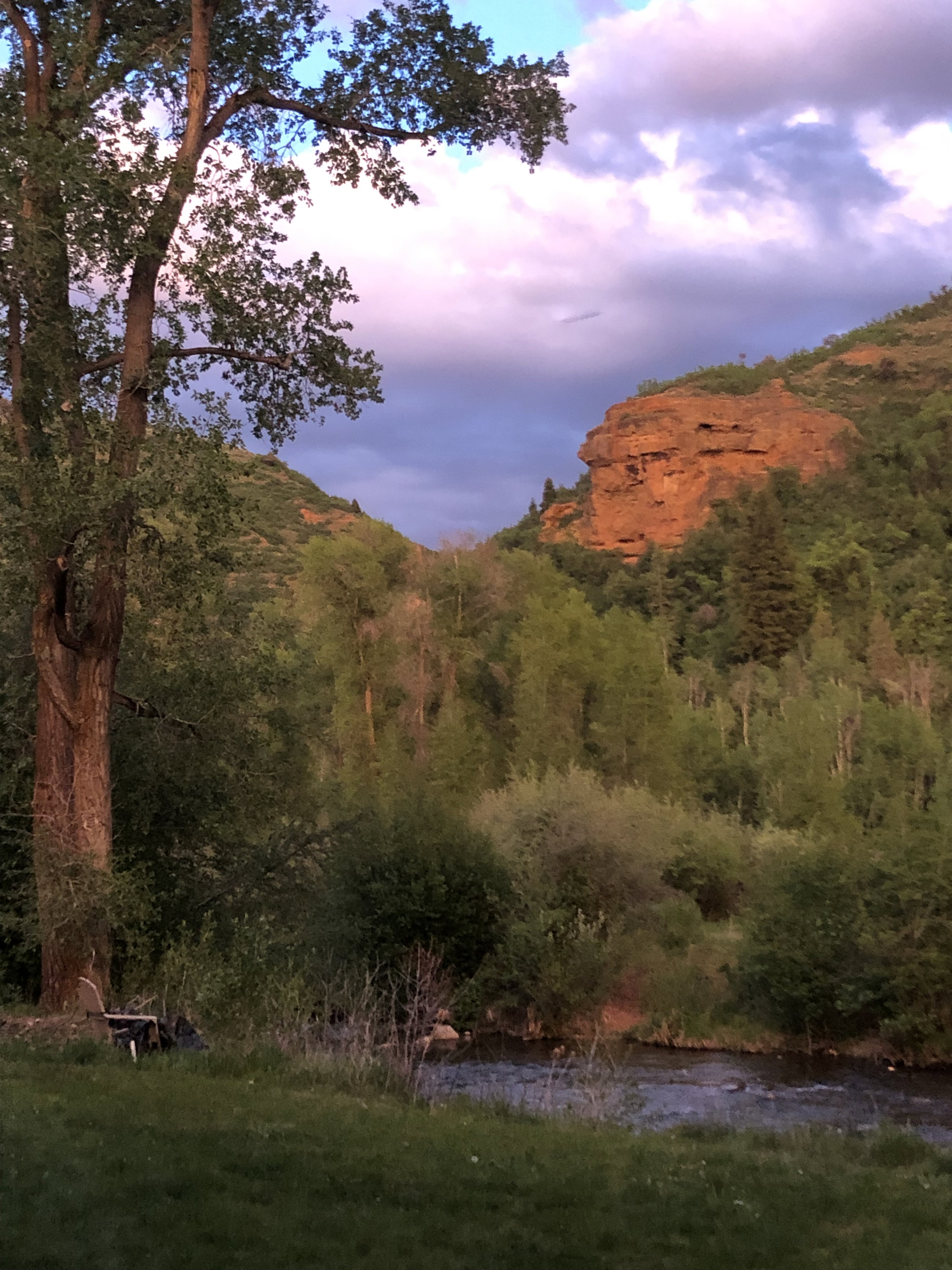 Expansive natural landscape featuring a flowing river, mature trees, verdant foliage, and distant red rock formations
