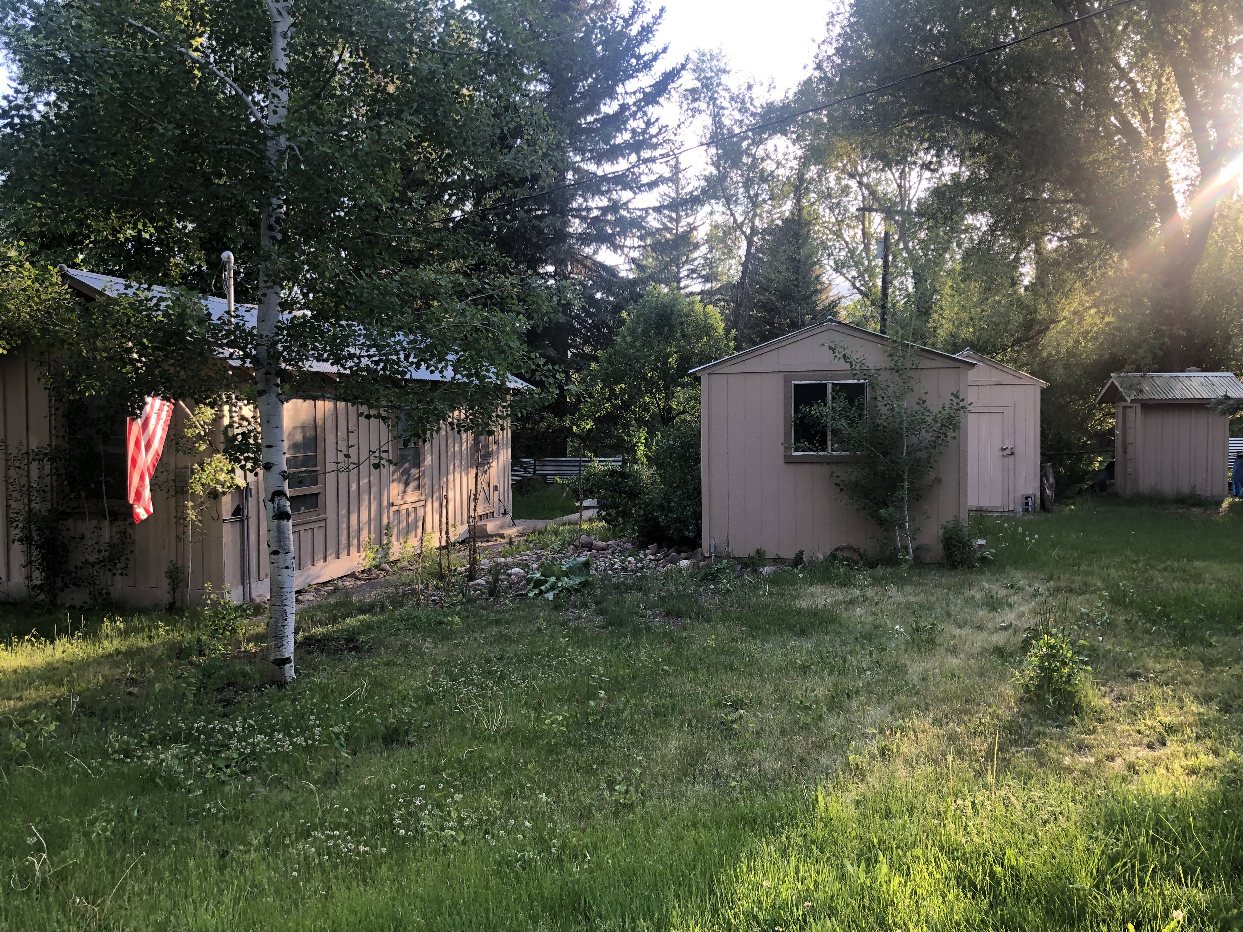 Spacious outdoor area featuring mature trees and multiple outbuildings