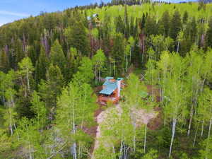 Wood-sided dwelling featuring a green metal roof and an expansive wood deck