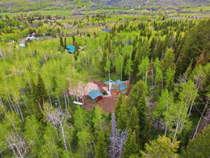 Wood-sided residence with green roofing