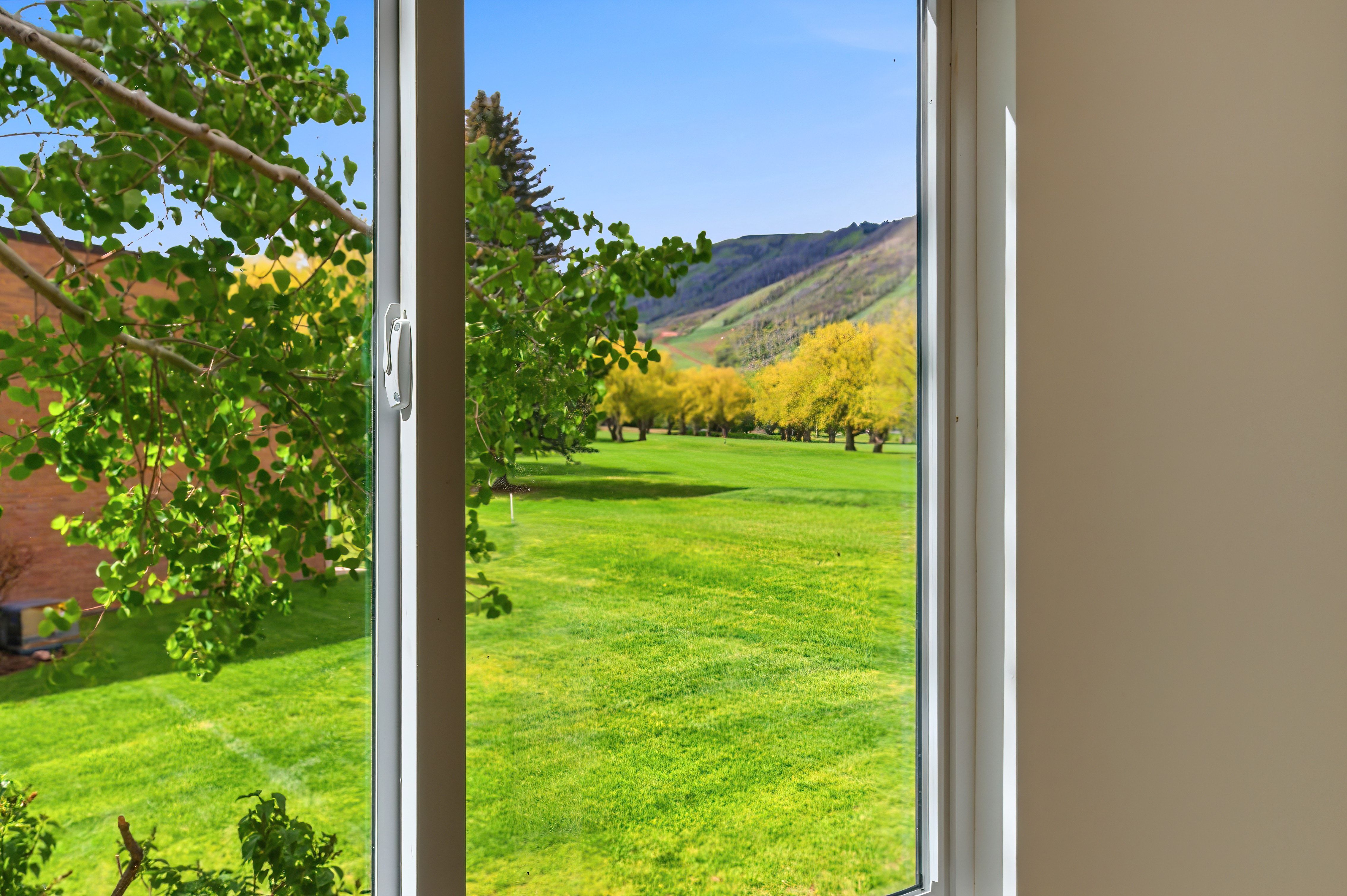 Large window framing a vibrant green landscape with mature trees and distant hills