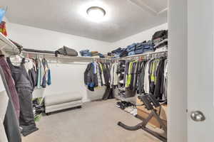 Spacious walk-in closet featuring extensive built-in shelving, multiple hanging rods, and neutral carpet flooring