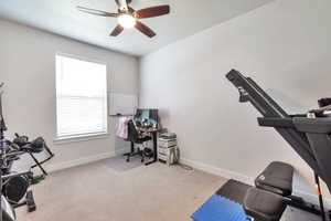 Room featuring light gray walls, a carpeted floor, and a single window with horizontal blinds