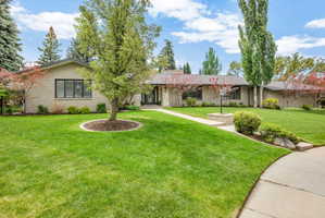 Spacious front yard with a curved concrete pathway and mature landscaping