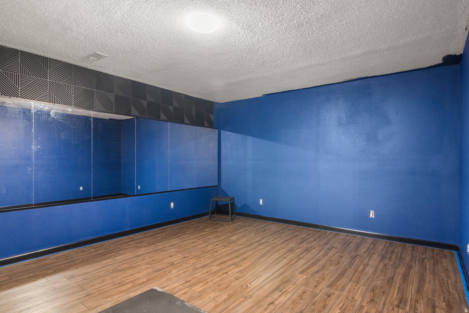 Room featuring wood-finish flooring and a full-wall mirror installation