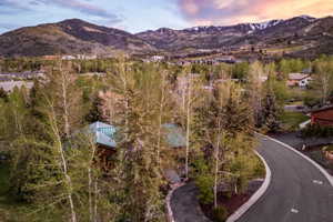 Mountain landscape featuring a residential setting with mature trees and a curving paved road