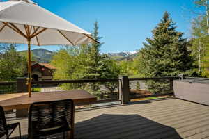 Expansive outdoor deck featuring composite decking and metal railings, surrounded by mature trees and mountain scenery